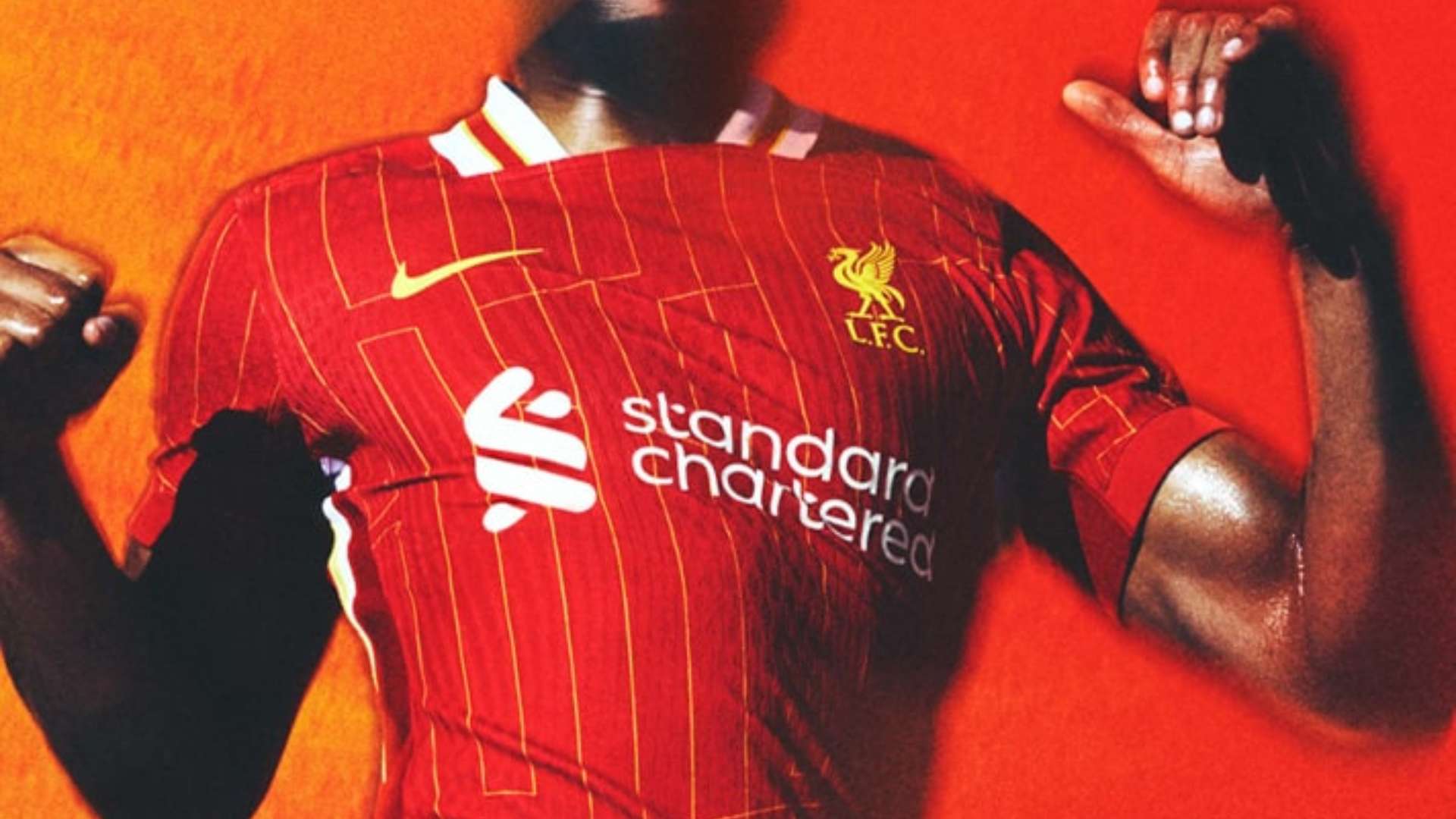 年卡塔尔亚 年卡塔尔亚